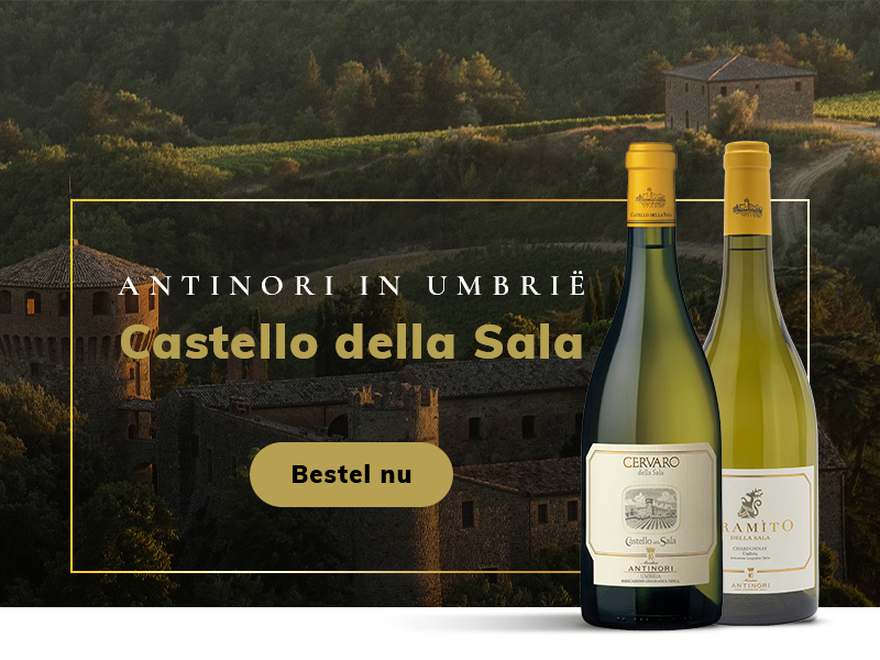 https://www.winelist.nl/media/cache/16x9_thumb/media/image/home-banner/castello-della-sala-blogbanner_2025.jpg