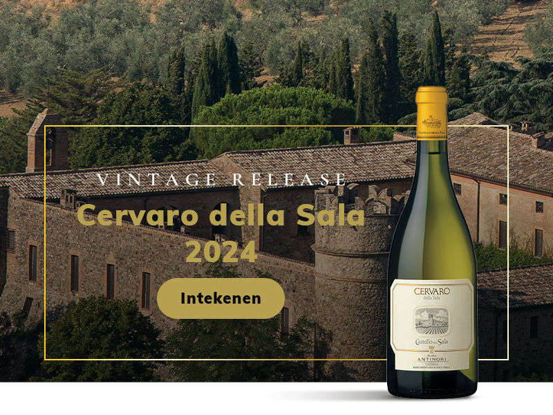 https://www.winelist.nl/media/cache/16x9_thumb/media/image/home-banner/cervaro_2024.jpg