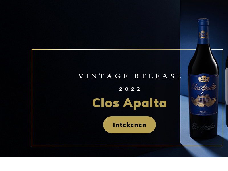 https://www.winelist.nl/media/cache/16x9_thumb/media/image/home-banner/clos_apalta_2022_blogbanner_2.jpg