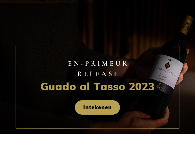 https://www.winelist.nl/media/cache/16x9_thumb/media/image/home-banner/guado%20al%20tasso%20banner-2.jpg