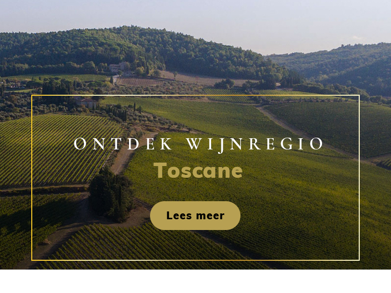 https://www.winelist.nl/media/cache/16x9_thumb/media/image/home-banner/toscane.jpg