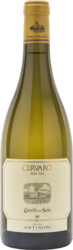 Antinori Cervaro Della Sala 2024