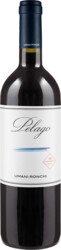 Pelago nv