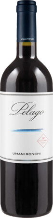 Pelago nv