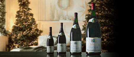 45-Kerst-Magnums-blogbanner-zonder-tekst-zonder-balk.