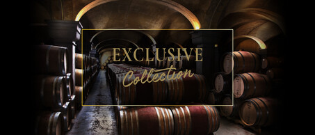 Exclusive Collection Blogbanner