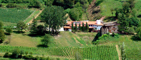 FranzHaas estate