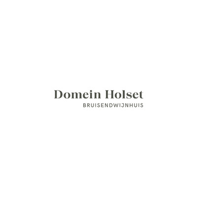 Logo Magento Domein Holset