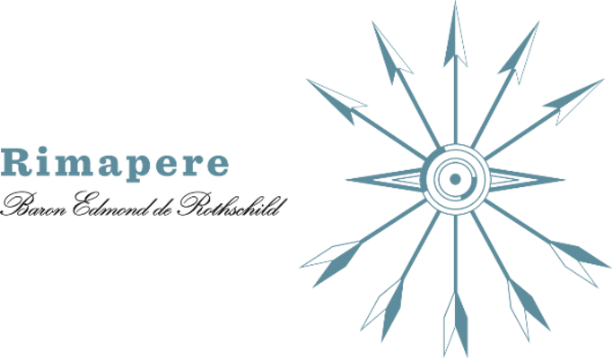 logo rimapere