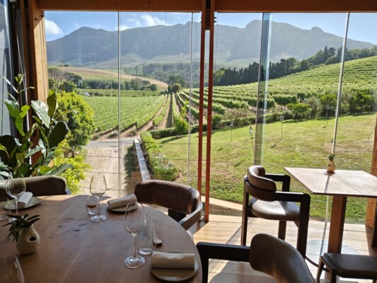 buitenverwachting-winery-constantia-restaurant-view-sunset-2-1024x768.jpeg