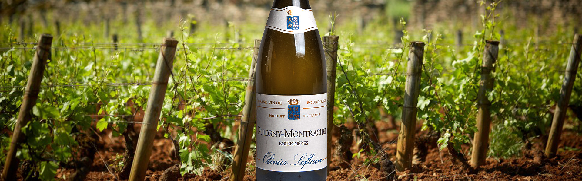 18-Montrachet.jpg