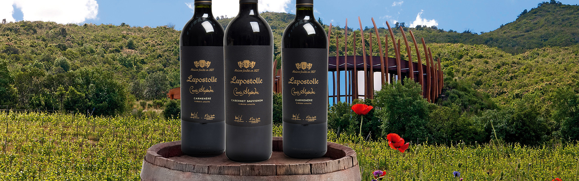 75-Wereldklasse-wijnen-van-Lapostolle.jpg